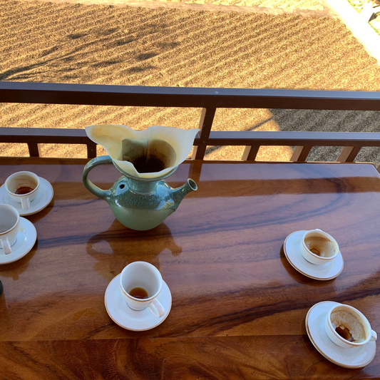 Curated Filter Service – Private Coffee Tasting