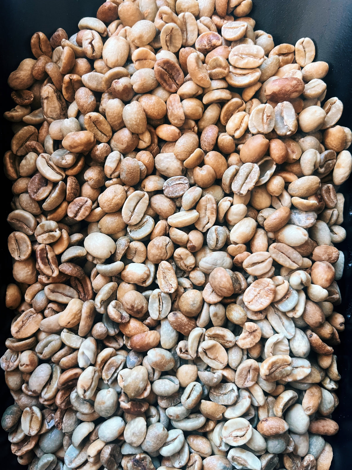 Green coffee beans before roasting