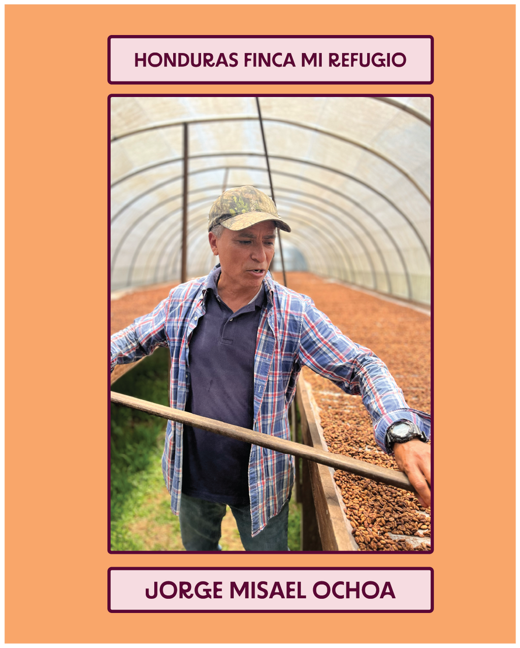 Producer card for Honduras Finca Mi Refugio, Jorge Misael Ochoa raking drying coffee on a raised bed at his farm in Santa Barbara, Honduras