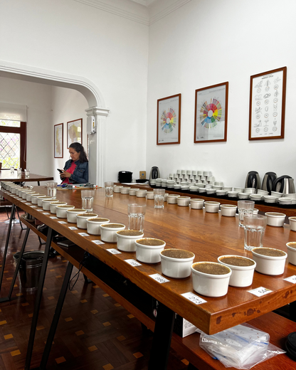 Join the Cupping Table