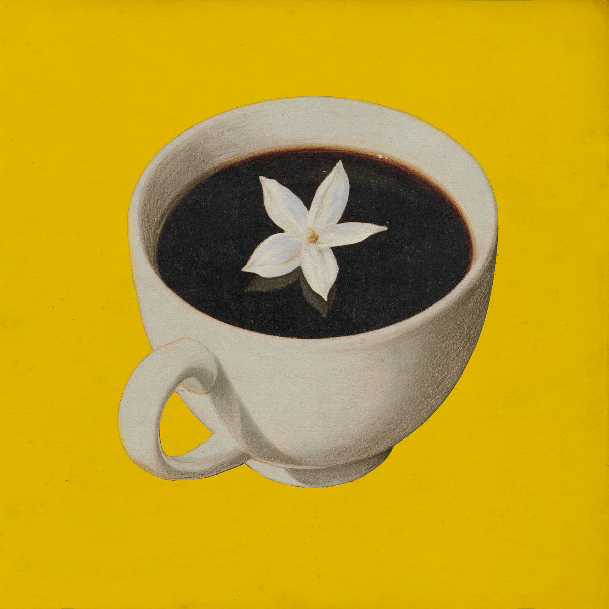 Cup of black coffee with a coffee blossom floating on the surface