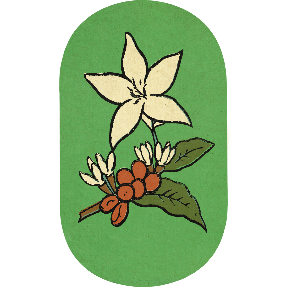 Illustrated badge of a coffee branch with cherries and blossom