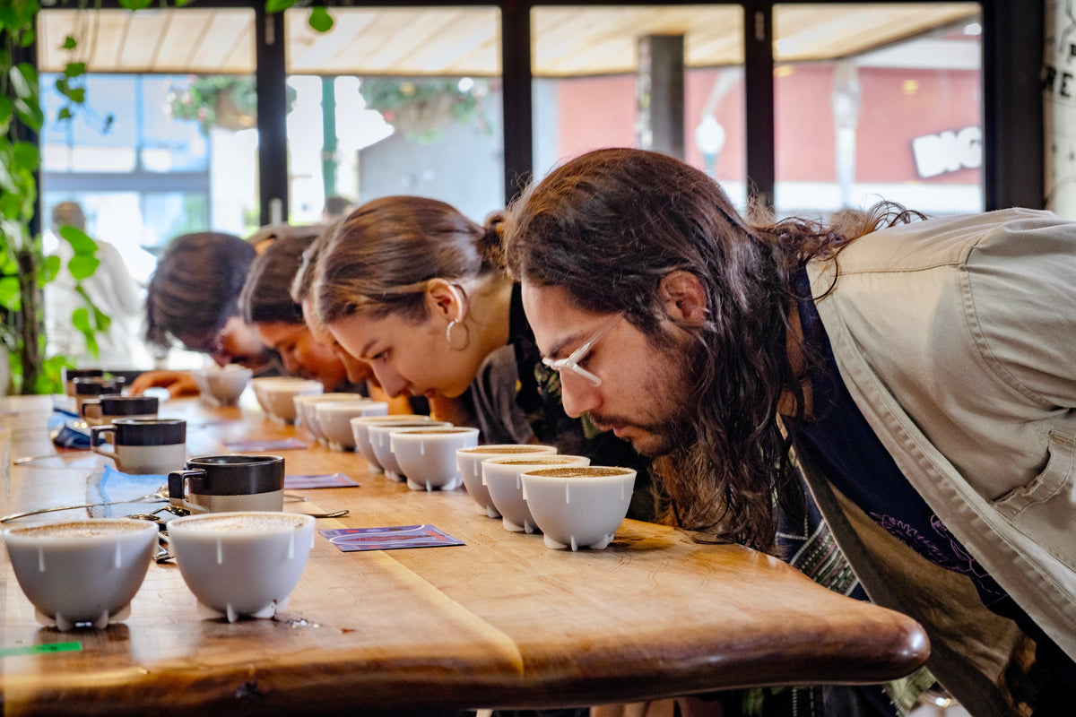 Group leaning in to smell coffee at the cupping table
